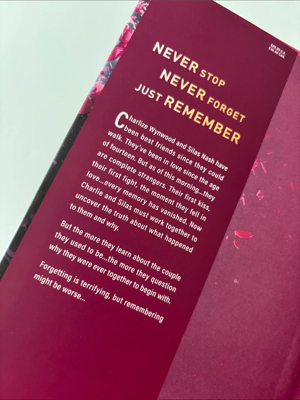Collectors's Edition Hard Cover Never Never by Colleen Hoover & Tarryn Fisher